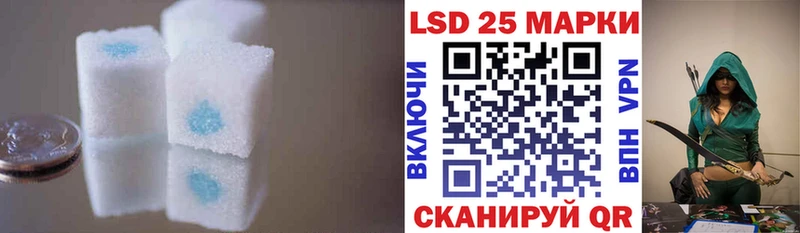 как найти закладки  Каменногорск  ЛСД экстази ecstasy 