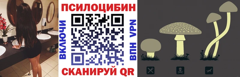 Псилоцибиновые грибы Magic Shrooms где купить наркотик Каменногорск